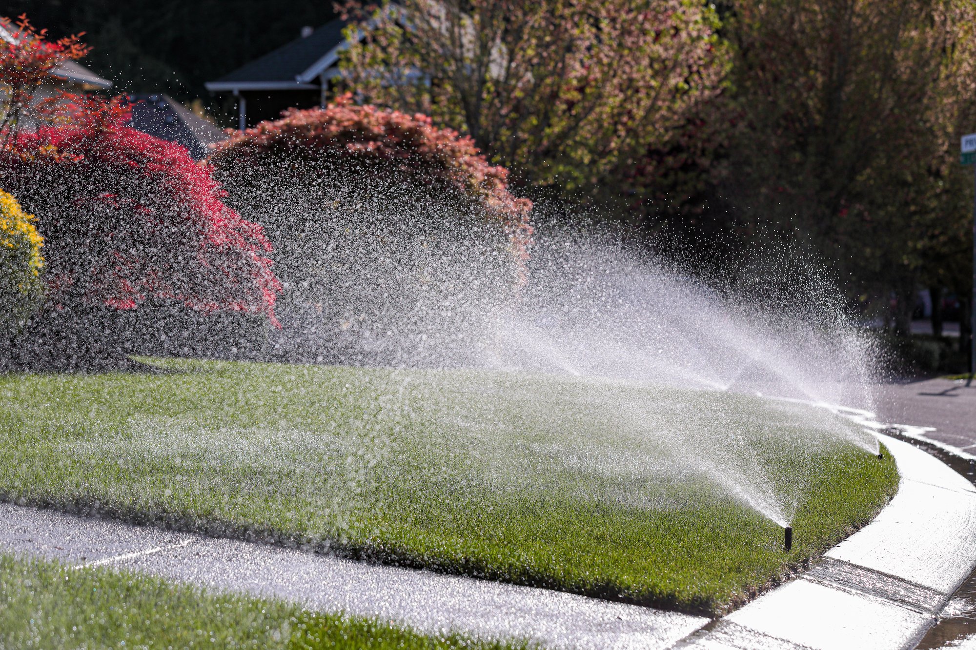 Sprinkling system going off on residential lawn Sprinkling system going off on residential lawn